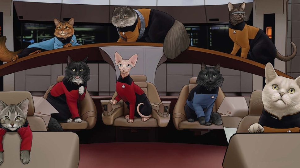 STAR TREK: THE NEXT GENERATION Recast As Cats is Purrfect (EXCLUSIVE)
