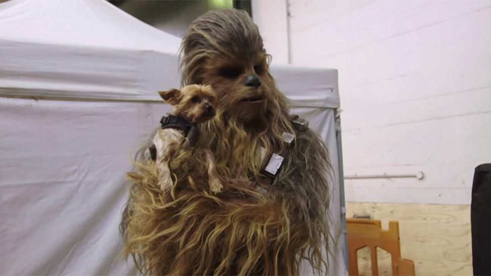 New STAR WARS Charity Campaign Wants You to Roar Like Chewbacca