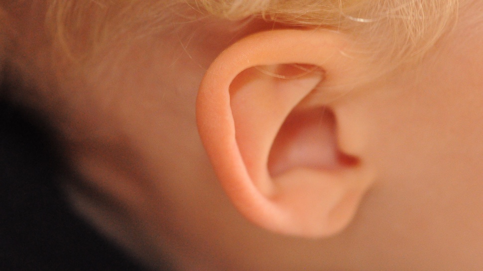 Explaining The Yanny-Laurel Meme That Everyone Is Hearing Differently