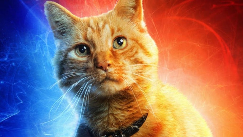 Goose the orange cat in a blue and orange poster