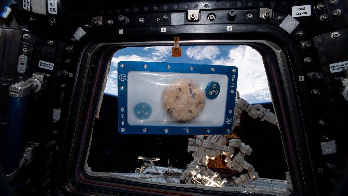 Astronauts Will Bake Cookies in Space for the First Time Ever