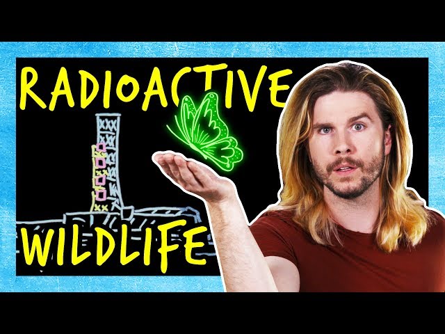 Chernobyl’s Mutant Animals
