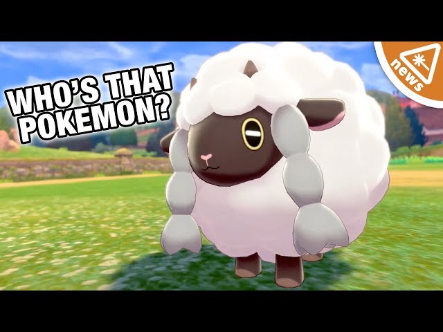 Why Are Pokémon Fans Obsessed with Sword & Shield’s Wooloo?