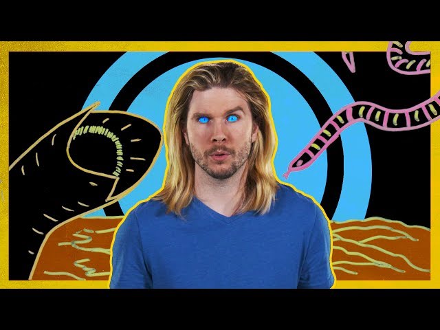 How Dune’s Sandworms Swim