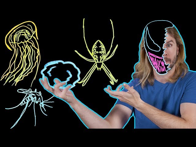 What Kind of Symbiote Is Venom