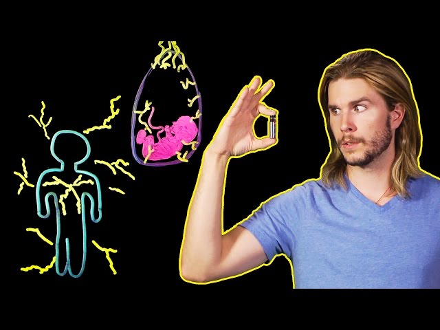 Could the MATRIX Actually Be Powered By Human Batteries?
