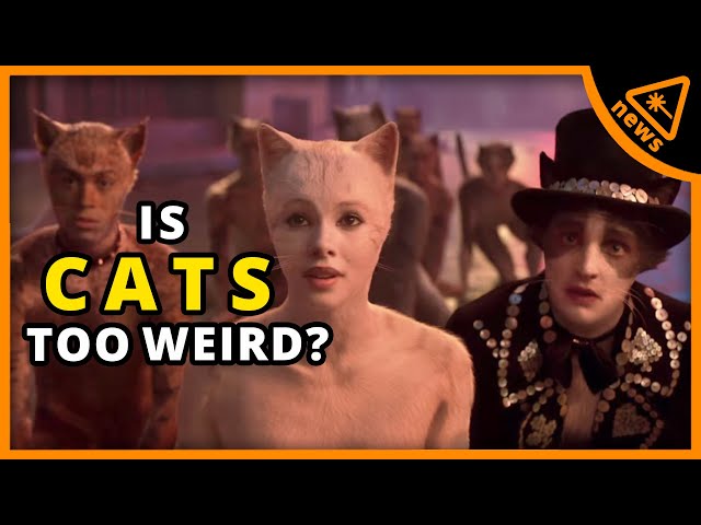 CATS Review Roundup: Is It Really THAT Bad? Hint: Yes