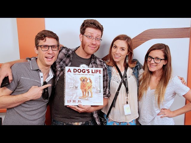 A Dog’s Life