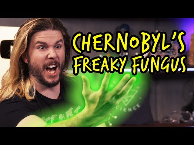 The Organism that Eats Radiation | Because Science Footnotes