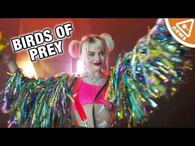 8 Hidden Details in the Harley Quinn and Birds of Prey Teaser!