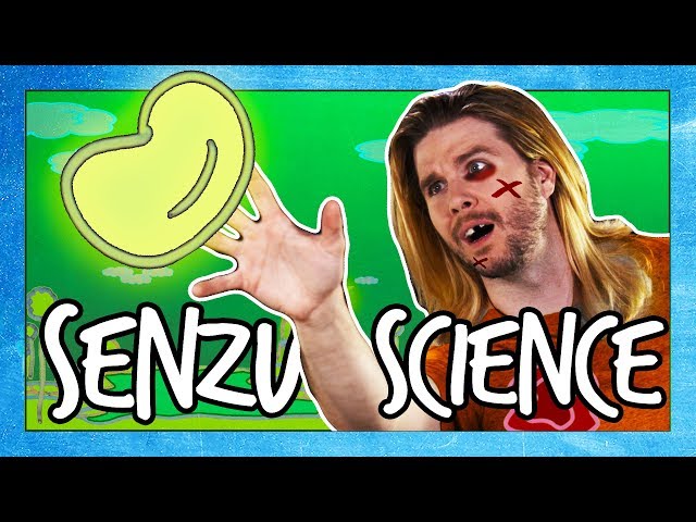 What’s Inside Dragon Ball Z’s Senzu Beans?