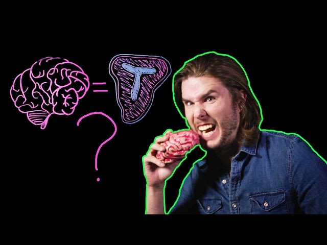 Should You Eat BRAINS?