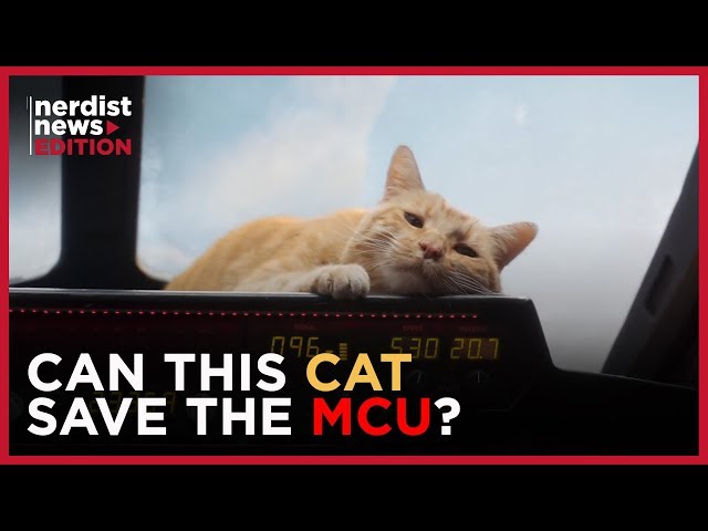 Why This Cat Is the Real Star of Captain Marvel