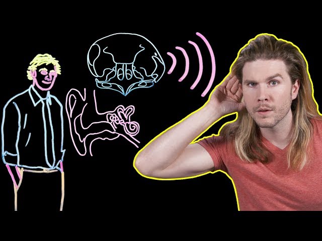 What Does the Quietest Place on Earth Sound Like?