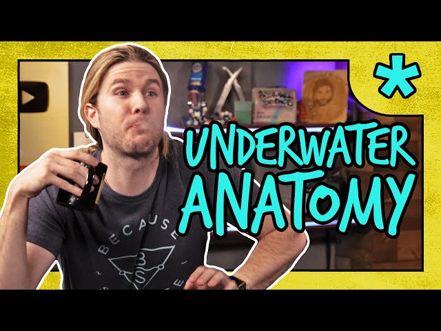 Where is a Starfish’s Butt? | Because Science Footnotes