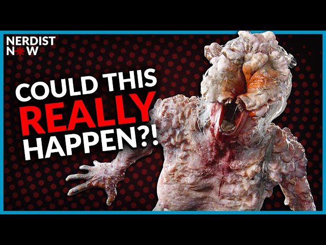 Which Fictional Zombie Virus Is Most Realistic? (Nerdist Now w/ Kyle Anderson)
